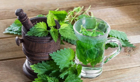 Benefits of Mint Leaves for Skin and Hair